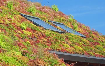Waterhay living roof systems