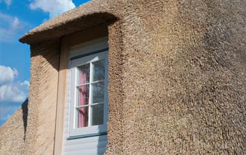 Waterhay thatch roof disadvantages