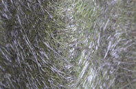 Waterhay fibreglass roof work